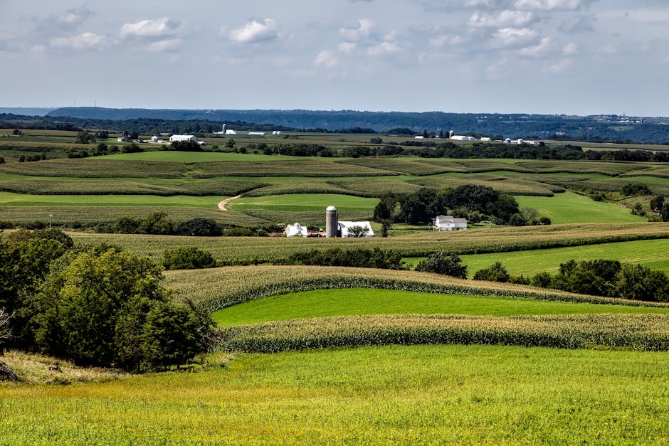 Unlocking the Secrets of Iowa Custom Farm Rates